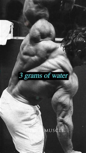 Muscle is made of water