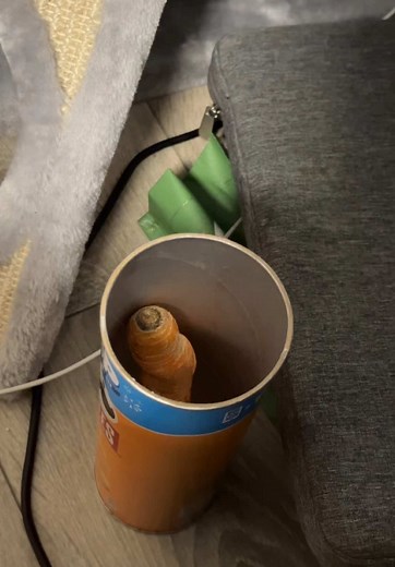 Die Möhre und ihre Freunde: Ein kreatives Bastelvideo