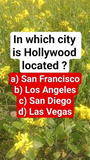 In which city is Hollywood located?
