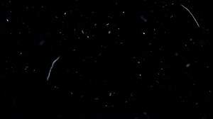 Huge Dust Particles Overlay HD Free Stock Video Footage