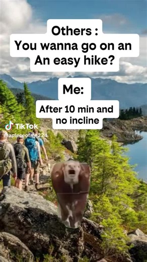 David Silverman (@david.silverman3)’s videos with original sound - David Silverman