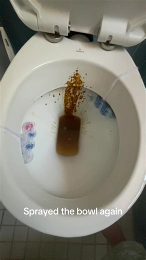 Efficient Toilet Bowl Cleaner for a Sparkling Clean