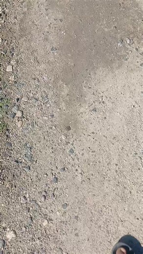 ehh this guy o gana ka moroto wakk🤔🤨#sama28 #ypffffffffffffffffffffffffffffffffffffff #trendingvideo #tik