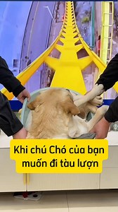 2.3K views · 777 reactions | Game nhập vai đỉnh cao | Anh Xuân | Facebook