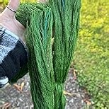 codree 3 Pcs Deer Netting for Shrubs- 7.8 x 7.8 Ft Deer Plant Netting Cover- Reusable Garden Plants Mesh Netting to Protect Undershrub Plant from Deer, Birds and Other Animals