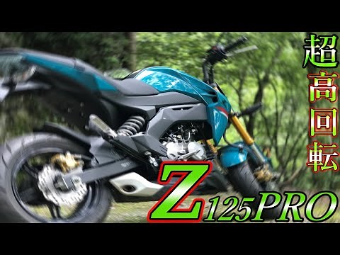 z125proの超高回転！10000回転で山走行レビュー！