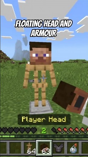 MINECRAFT INVISIBLE ARMOUR TRICK 🤯 (No Mods!) #minecraft #shorts