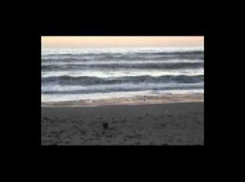 Green Fields of France Music Video