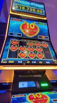 Australian Pokies Gameplay 🇦🇺 Dollar Storm Slot – Lightning Bonus Action #chasingjewels #gaming