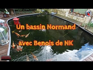 Un bassin Normand avec Benoit de NK
