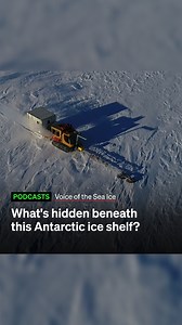 #WATCH | The Ross Ice Shelf of Antarctica might look flat and serene - but what's hidden beneath parts of it is deadly, and it's keeping scientists on their toes. Listen to the Voice of the Sea Ice podcast. ⬇️ | RNZ