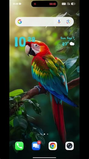 voice record problem for Screan recording