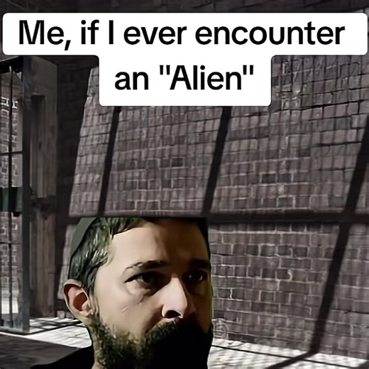 This is me if I ever see an alien!!!