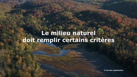 65 reactions · 15 shares | En comprenant les milieux naturels, il est possible de mieux les protéger. Découvrez ce qu’est un milieu naturel et dites nous quels sont, selon vous, les meilleurs moyens de les protéger. | Nature Conservancy of Canada / Conservation de la nature Canada | Facebook