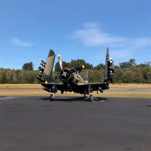 ダグラスA-1 スカイレイダー。天才エンジニアのエド・ハイネマン設計。単発機ながら4発機のB-17に匹敵するペイロード、MiG-17Fを撃墜する高機動性、タフな構造を活かし撃墜された兵士を救う救難ヘリが到着するまで敵の火網をくぐり抜け何時間も現場上空を旋回、攻撃し続け救出するSandyとして活躍。