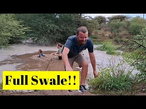 Greening the DESERT. First Rain for 2025 Permaculture Swales