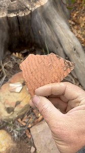 A few of the sherds I found near the Mogollon Rim in Arizona this weekend. These have been laying out here for over 700 years. | Andy Ward's Ancient Pottery