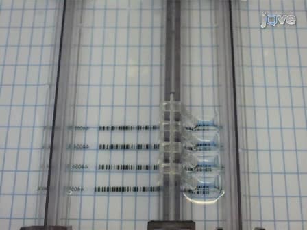 Rápido y sensible coloidal Coomassie G-250 La tinción de proteínas en geles de poliacrilamida