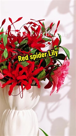 Red Spider Lily: A Flower of Farewell and Rebirth