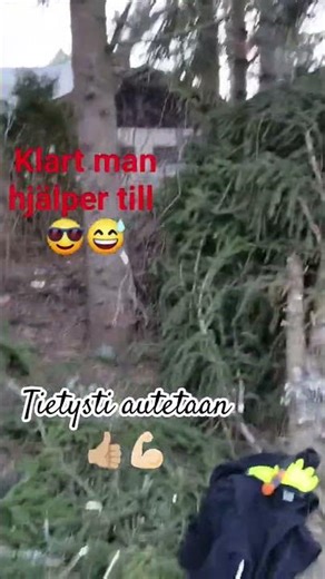 Myrskyn jälkeen #shorts #stormyday #stormen #metsätyö