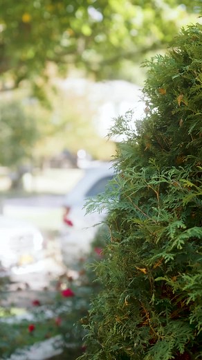 Improving Guitar Skills: Recognizing a Buttery Tone