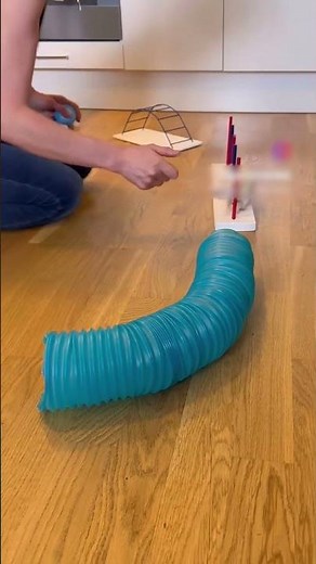 Pet Rat Enjoys Doing Agility Course With Owner - 1521442