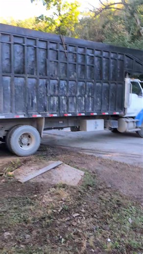 🌲💪 From Trees to Trailers — We Clear It All! 💪🌲 Mitchell Tree Company Whether it’s removing storm-damaged trees, hauling off debris, or tearing down old trailer homes — we handle it all from start to finish. ✅ Tree Removal & Trimming ✅ Forestry Mulching & Land Clearing ✅ Fence Row & Field Edge Cleanup ✅ House & Trailer Demolition ✅ Hauling & Disposal Services If it’s in your way — we’ll move it, mulch it, or make it disappear. Fast. Professional. Local. 📍 Serving Clinton County and surround