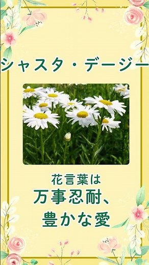 3月10日の誕生花は「シャスタデージー」。泥に染まらず、気高く咲くその真っ白な花びらはどんな状況でも「自分らしくあること」の大切さをそっと教えてくれているようです。 #誕生花 #癒しの言葉