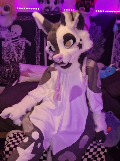 Fursuit vs Murrsuit: What's the Real Difference?