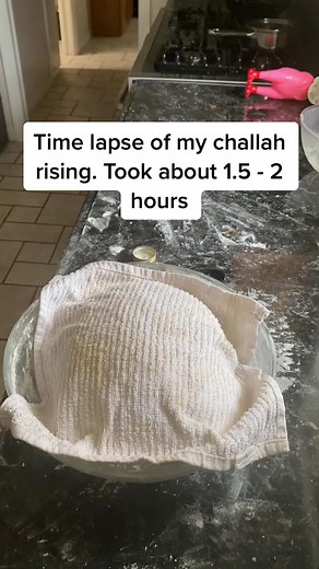 Gaia’s Garden on TikTok