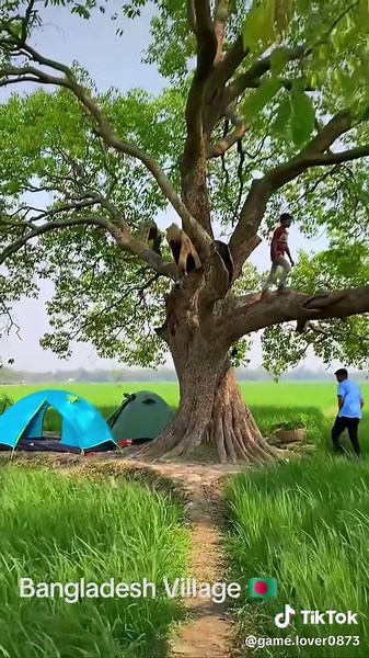 Explore the Beauty of Bangladesh Village Life