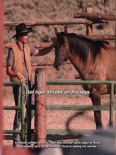 The *Yellowstone* spinoff, *Dutton Ranch*, has premiered; let's take a look together at how Rip and Beth set about revitalizing the Dutton name.#tiktoktvfilmcontest#fyp#yellowstonetv #duttonranch #spoiler