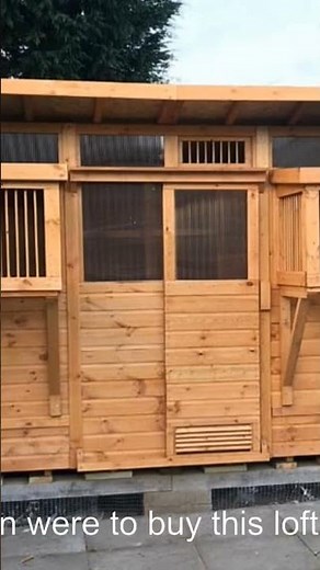 What is the perfect racing pigeon loft design