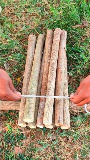 Genius Rope Trick – Can You? ✅ #experiment #knowledge #camping #usa