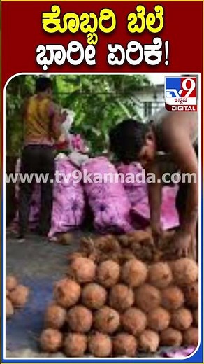 ಕೊಬ್ಬರಿ ಬೆಲೆ ಭಾರೀ ಏರಿಕೆ! #Coconutprice #TV9D