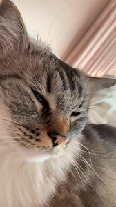 6.4K views · 525 reactions | Hi everyone! Here we are on what I...