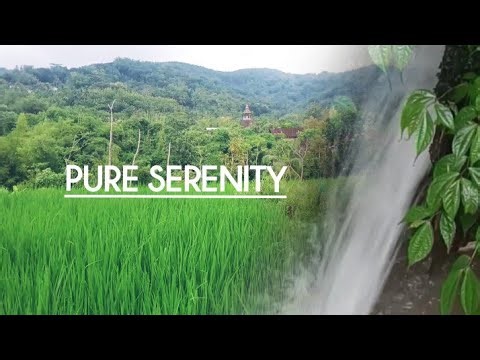 Relaxing Water Sounds & Emerald Rice Fields -Suara Air yang Menenangkan & Pemandangan Sawah Hijau