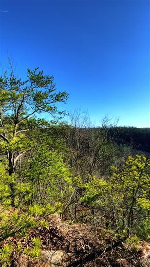 Just wanted to share this view. #naturelover #natureloversunite #hiking #mountians #nature