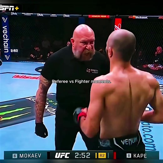 Referee vs Fighter Showdown at UFC: Oh, He's Out!