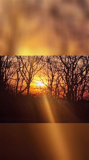 What an amazing sunset view that I was able to capture with my sister @brasstownlookout it was a perfect end to the first day of 2026. Here is too many great adventures to be made this year with my favorite people of all... #outdoor #sunset #newyearnewaura #fyp #naturevibes