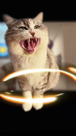 Difficult to Fire: A Heavyweight Shell's Dramatic Display