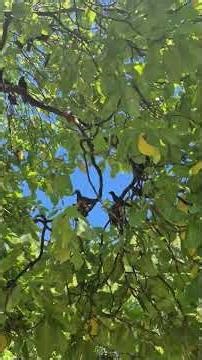 Beautiful Manus Island