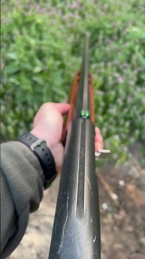 LPA fiber optic shotgun sights