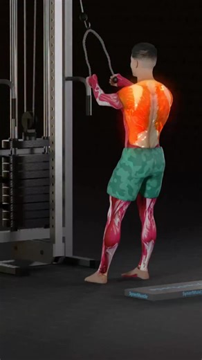 ApexHealth on Instagram: "💥 Rope Pulling Exercises Explained! Know the difference!"