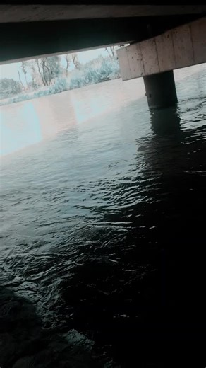 Faze K (@faze.k143)’s videos with original sound - 🦋🄴🅂🄷🄷🄰🄰🅈🅈🅈🦋