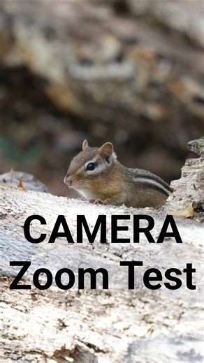 ZOOM TEST 28mm vs 200mm vs 200mm + 3X Digital Zoom (Tamron 28-200mm + a7C2 a7iv* FX2*) #cameratest