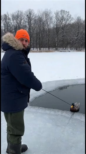 Frozen Fish Fall… Then a Frozen Duck Shocks Everyone! ❄️
