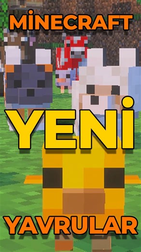 Kürşat ama Ahtapot olan on Instagram: "Minecraft NEW BABY MOBS Güncellemesi! (Minecraft 26.1 Snapshot 2) Minecraft’a gelen yeni güncelleme ile yavru moblar tamamen yenilendi ve artık çok daha sevimliler. Toplamda 8 farklı yavru güncellemeden nasibini aldı: Kurt, kedi, domuz, buzağı, civciv, ocelot, kuzu ve yavru tavşan. Bununla da sınırlı değil. 🐺 9 farklı kurt yavrusu varyantı 🐱 11 farklı yavru kedi çeşidi oyuna eklendi. En dikkat çeken detay ise yavruların tasarımı. Eskiden iki gözlü olan be