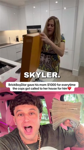 This every hustler’s dream right here🥲 #brickboydior #money #richlifestyle #louisvuitton #motivation @brick