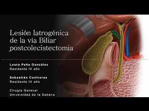 Lesión de la vía Biliar - Universidad de la Sabana